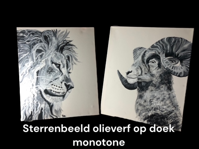 Sterrenbeeld op doek monotone