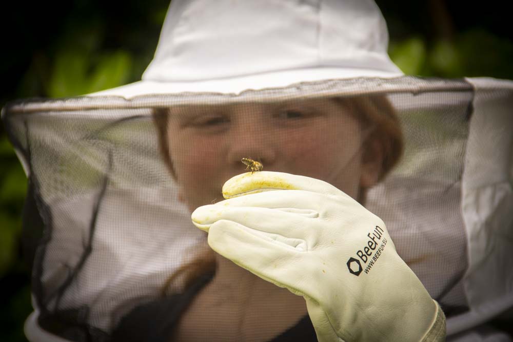 The Beekeeper