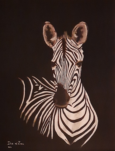 Zebra