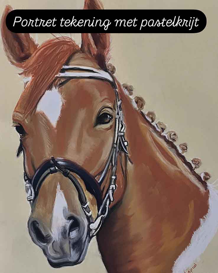 Paard vos