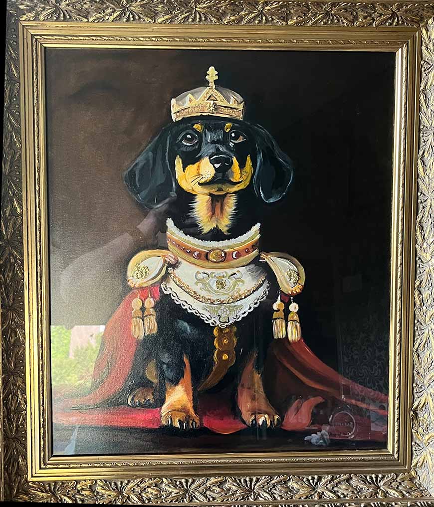 dachshund